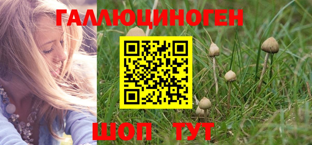 Галлюциногенные грибы Cubensis Волжск